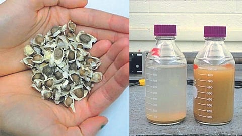 Water Purification