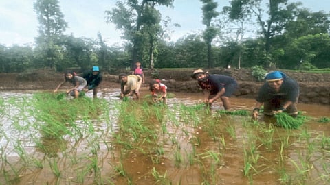 Ratnagiri Rain Update