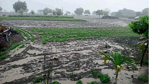 Rain Update