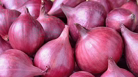 Onion