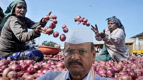 Onion Subsidy