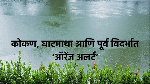 Rain