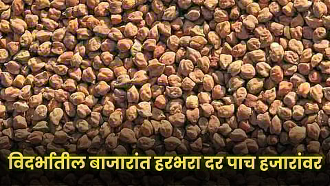 Chana
