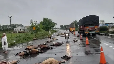 Nagpur Highway Accident