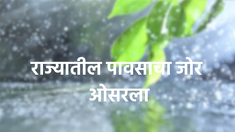 Rain Update