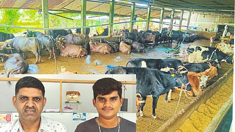 Milk Business