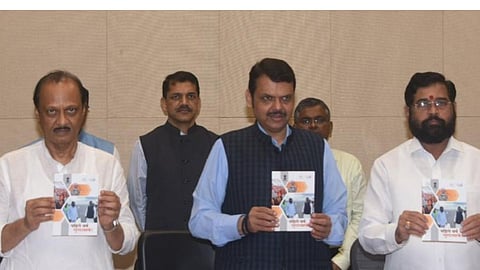 Portfolio Distribution