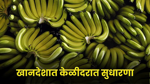 Banana Rate