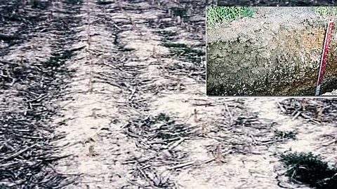 Soil Health