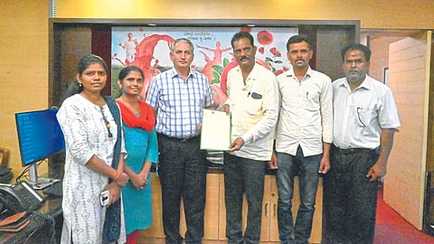 Sharad King Pomegranate