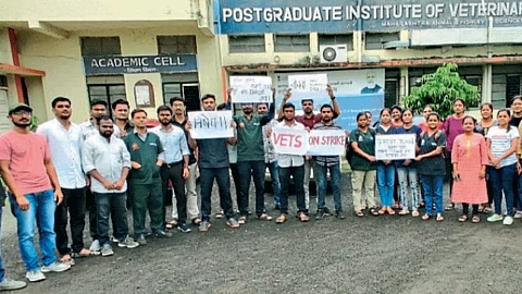 MAFSU Protest