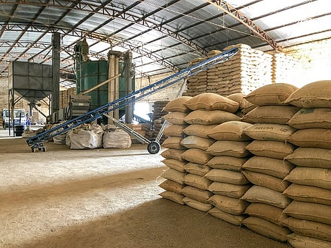 sugar packing