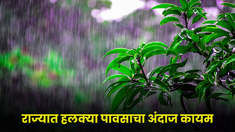 Weather Update
