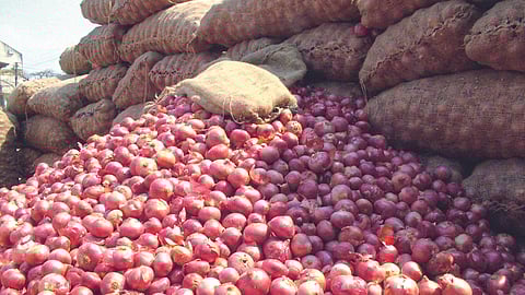 Onion