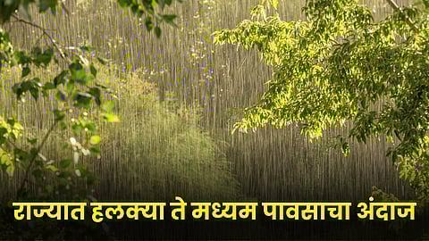Rain Update
