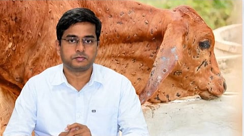 Lumpy Disease Kolhapur