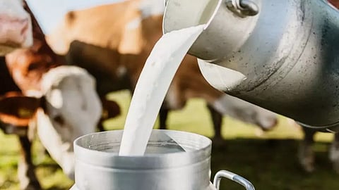 Maharashtra Milk Production