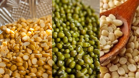 Pulses Market