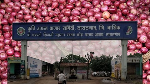 Onion Export