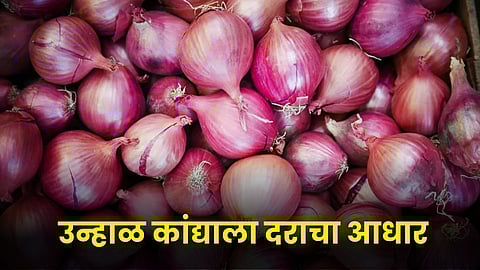 Onion