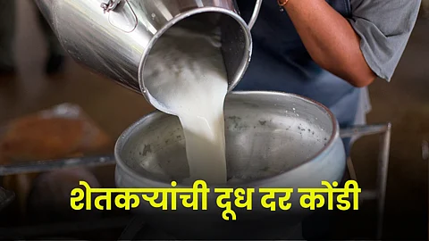 Milk Rate