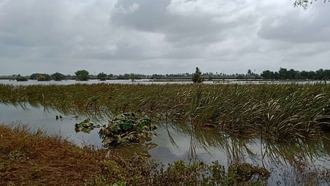 Kolhapur Flood Damage