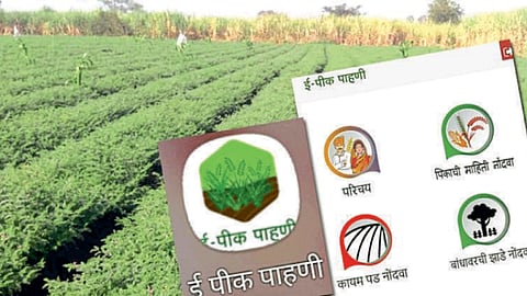 E-Peek Pahani