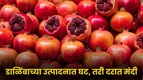 Pomegranate