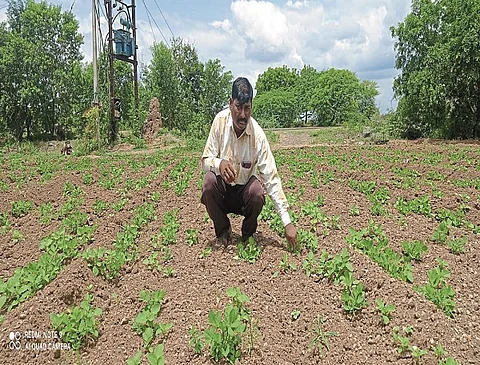 Farmer
