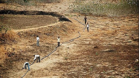 Drought Condition Maharashtra