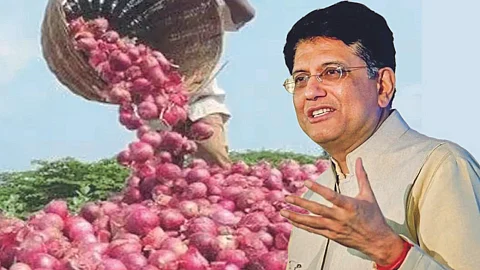 Onion Market