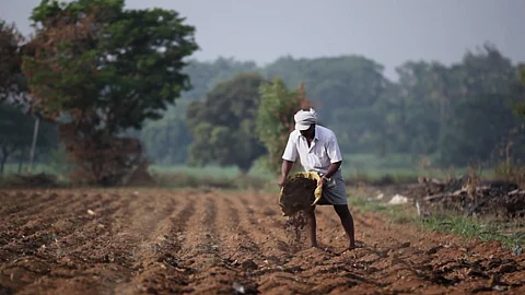 Farmer