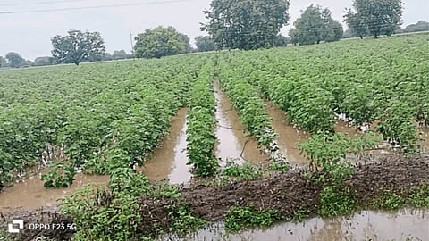 Rain Update