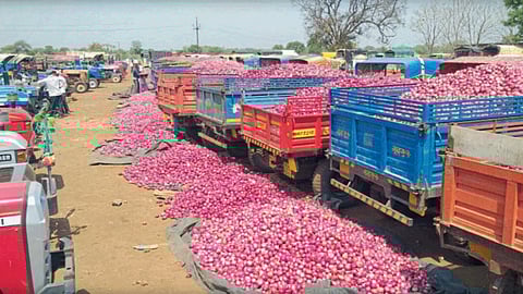 Onion Market