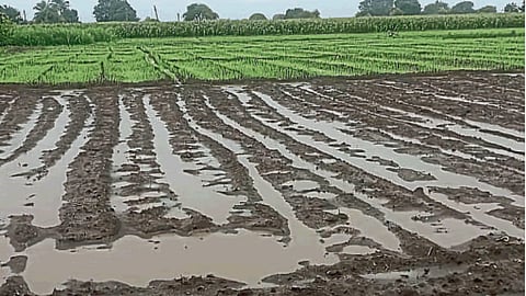 Rain Update