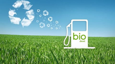 Bio Diesel