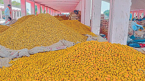 Turmeric Market