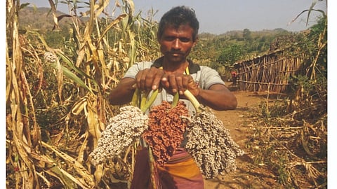 Local Varieties Conservation