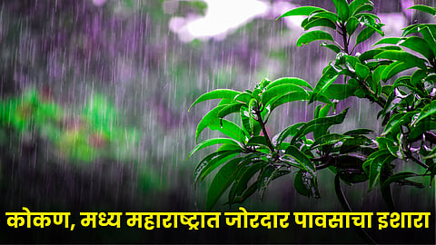 Rain Update