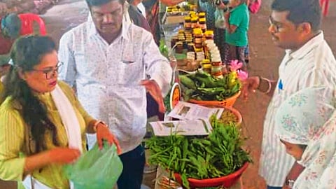 Wild Vegetable