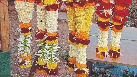 Flower Farming