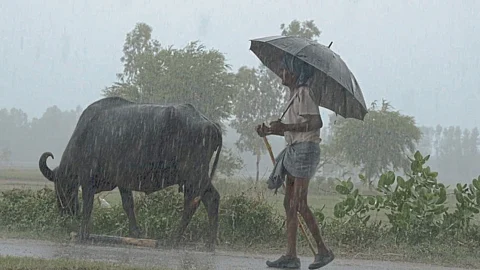 Kharif Season