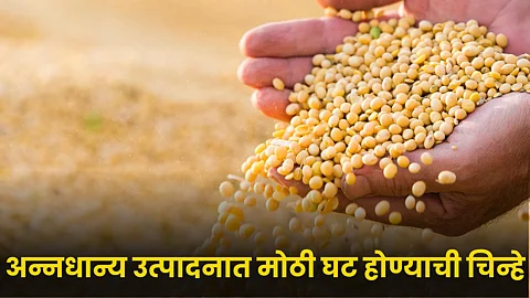 Food Grain Production