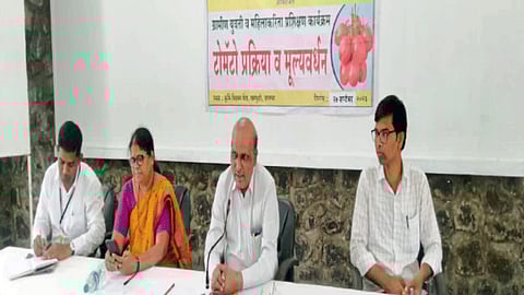 Tomato Processing : टोमॅटो प्रक्रियेमधून आर्थिक उन्नती साधावी ः डॉ. सोनुने