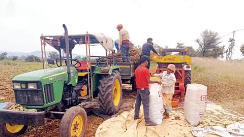 Soyabean Production