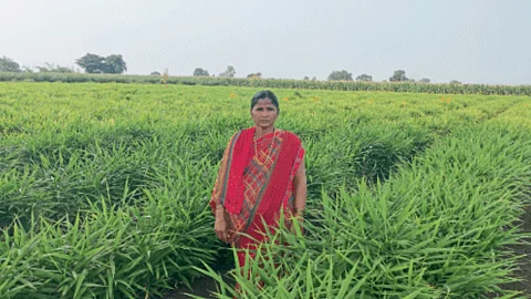 Vimalbai Shelke