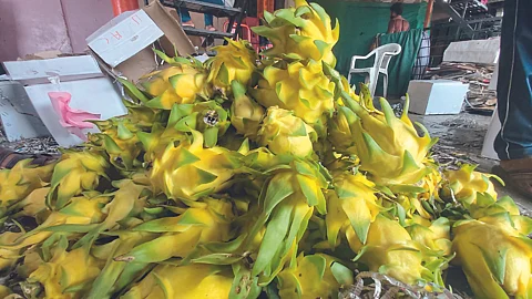 Yellow Dragon Fruit