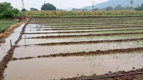 Rain Update