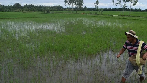 Manipur affected farmers