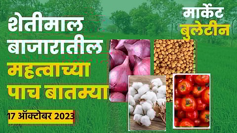 Agrowon Podcast : सरकारच्या दबावानंतही गव्हाचे भाव वाढले